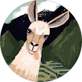 Carol Ann Chase Avatar